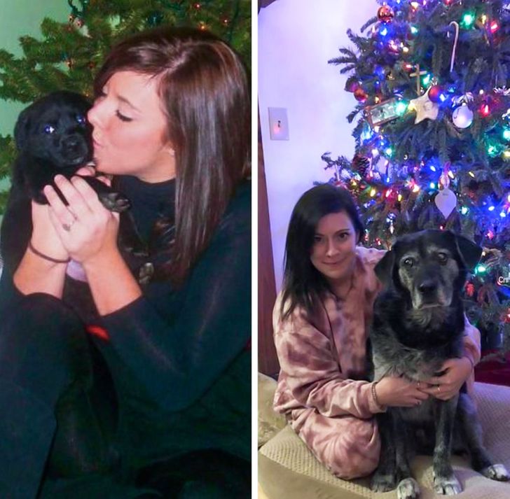 20 Before And After Pictures Of Pets That Look Even More Adorable As Adults