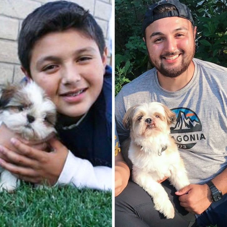 20 Before And After Pictures Of Pets That Look Even More Adorable As Adults