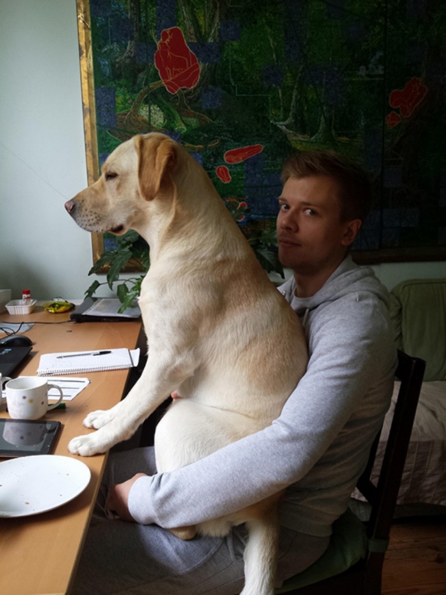 20+ Funny Dog Moments With Absolutely No Understanding Of Personal Space