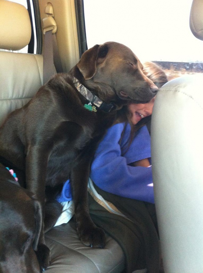 20+ Funny Dog Moments With Absolutely No Understanding Of Personal Space