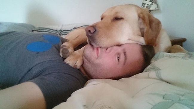 20+ Funny Dog Moments With Absolutely No Understanding Of Personal Space