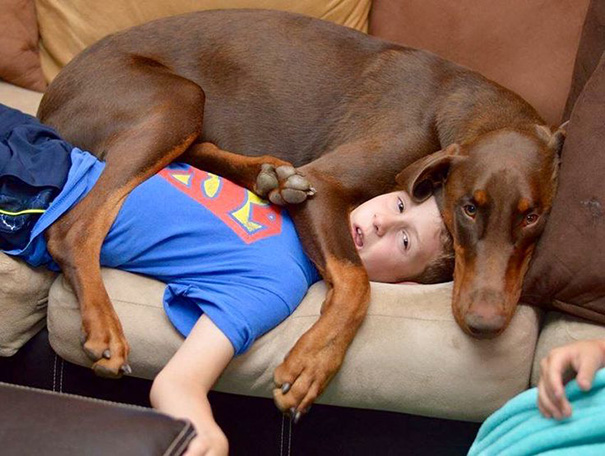 20+ Funny Dog Moments With Absolutely No Understanding Of Personal Space