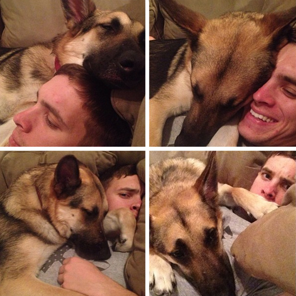 20+ Funny Dog Moments With Absolutely No Understanding Of Personal Space