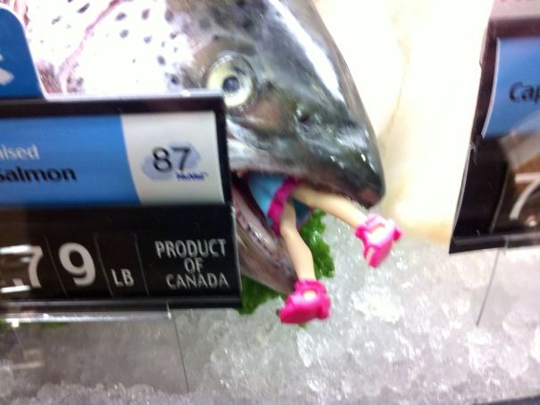 45+ Pictures People Couldn’t Believe Their Eyes At The Store