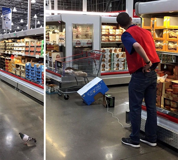 45+ Pictures People Couldn’t Believe Their Eyes At The Store