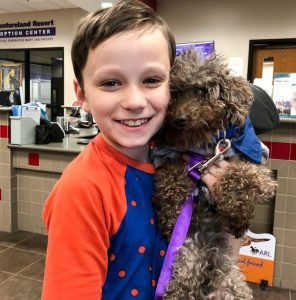 A Young Boy Adopts Oldest Dog From Shelter And Gives Him A Happy Family Till His Last Days