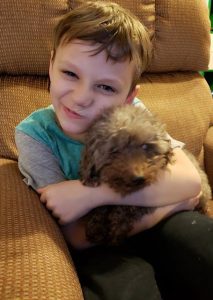 A Young Boy Adopts Oldest Dog From Shelter And Gives Him A Happy Family Till His Last Days