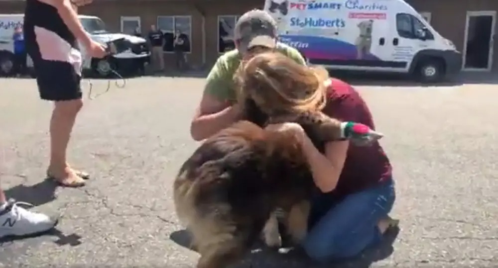 After 2 Years, a Lost Dog Steps Off The Plane to Reunite with Her Family