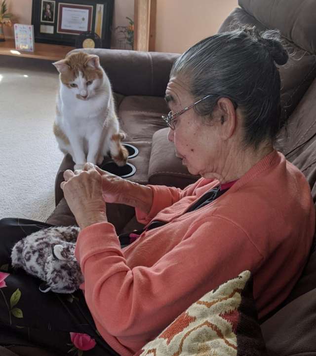 Cat Sits Patiently As Grandma Fixes His Favorite Stuffed Toy