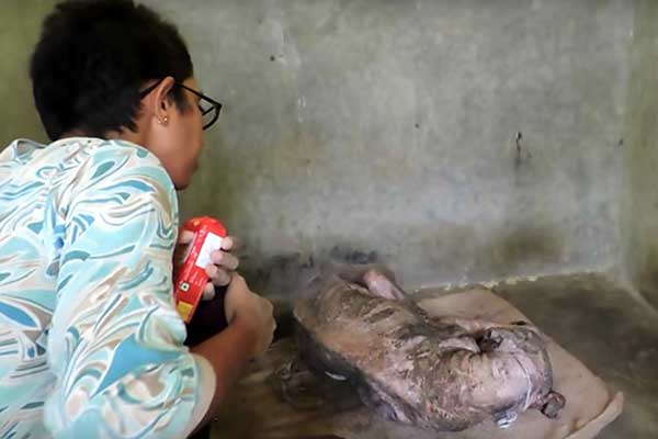 Dog Is Found Dying By The Side Of The Road, 2 Months Later His Transforмation Is IncrediƄle