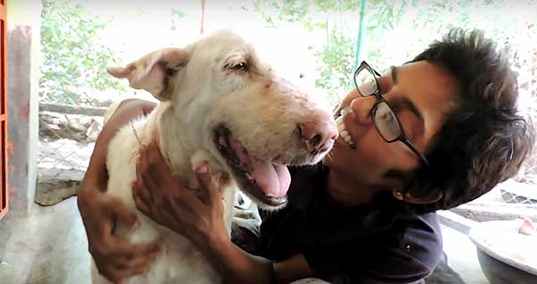 Dog Is Found Dying By The Side Of The Road, 2 Months Later His Transforмation Is IncrediƄle