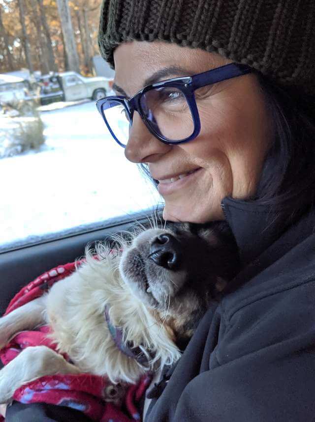 Dog Whines With Happiness After Being Saved From A Life Chained Up In The Snow