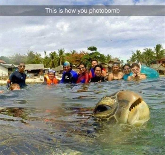 40+ Funny Pictures Of The Day That Will Make You Laugh All Time