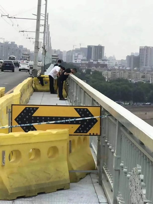 Heartbroken Dog Waits on Bridge for Four Days After Witnessing His Owner Jumping into River