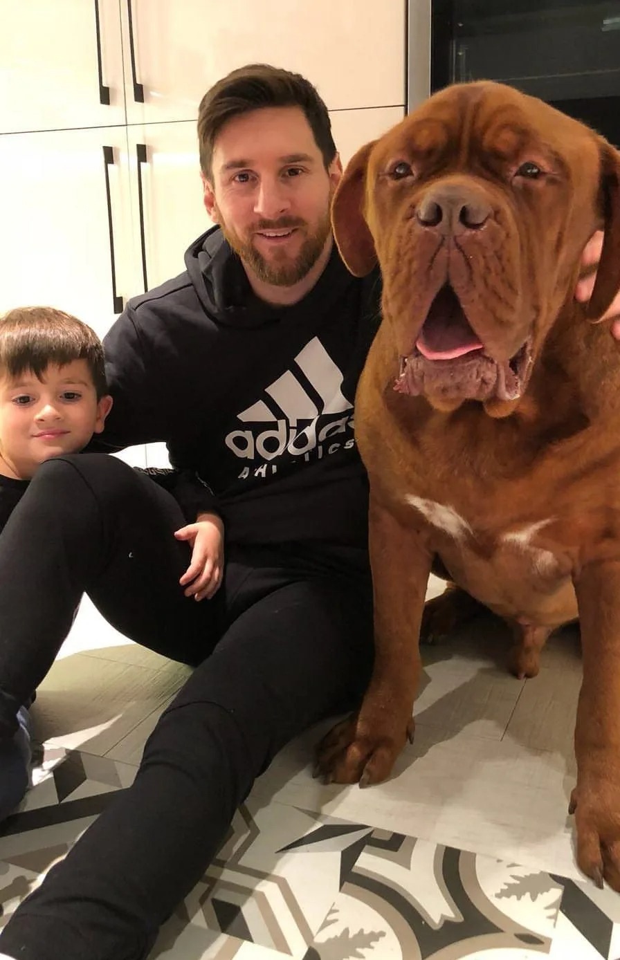 Messi owned The Hulk dog which is a unique breed, it was highly expensive and previously threatened