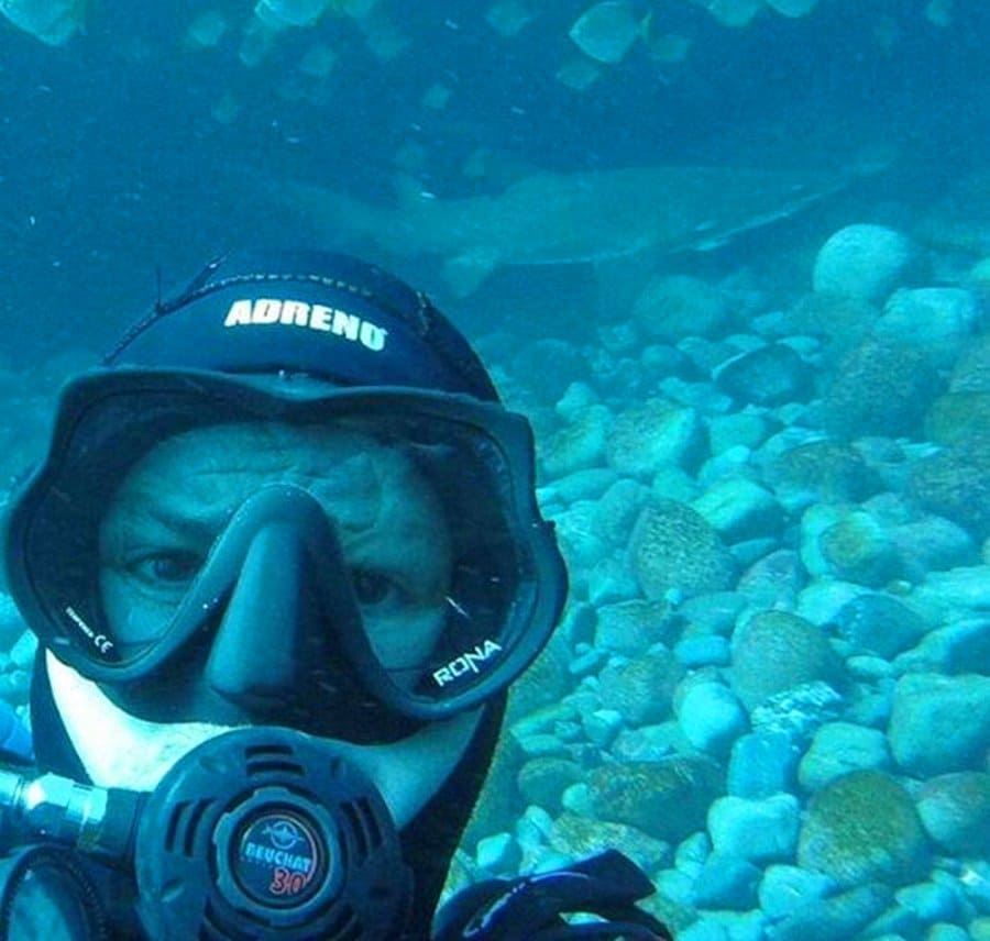 Port Jackson Shark Swims up to Her Human Friend to Ask for Cuddles Every Time She Sees Him