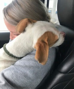 Pup So Grateful For Being Rescued, Buries His Face In Rescuer’s Arms