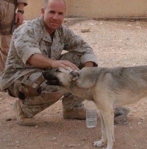 Stray Dog Followed A Marine Over 70 Miles To Prove They Were Meant To Be Together