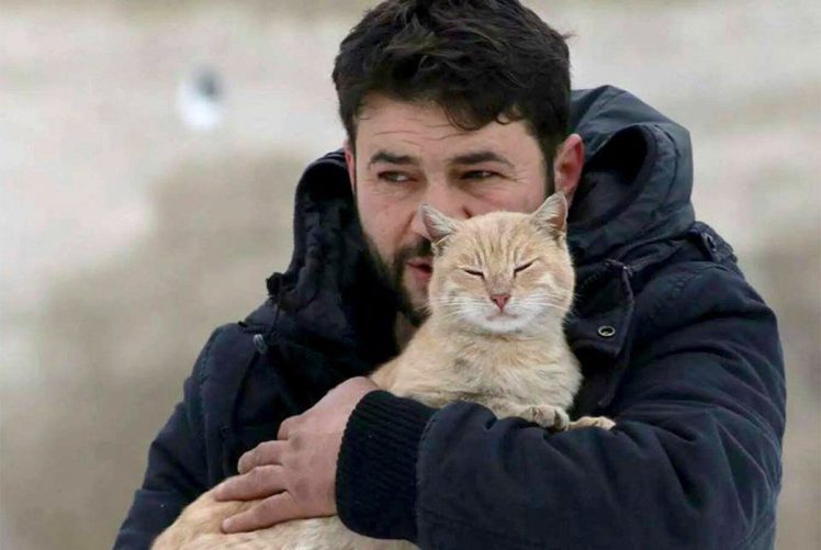 This Syrian Man Refuses To Leave His City of Aleppo To Care For Hundreds Of Abandoned Cats