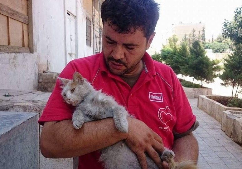 This Syrian Man Refuses To Leave His City of Aleppo To Care For Hundreds Of Abandoned Cats