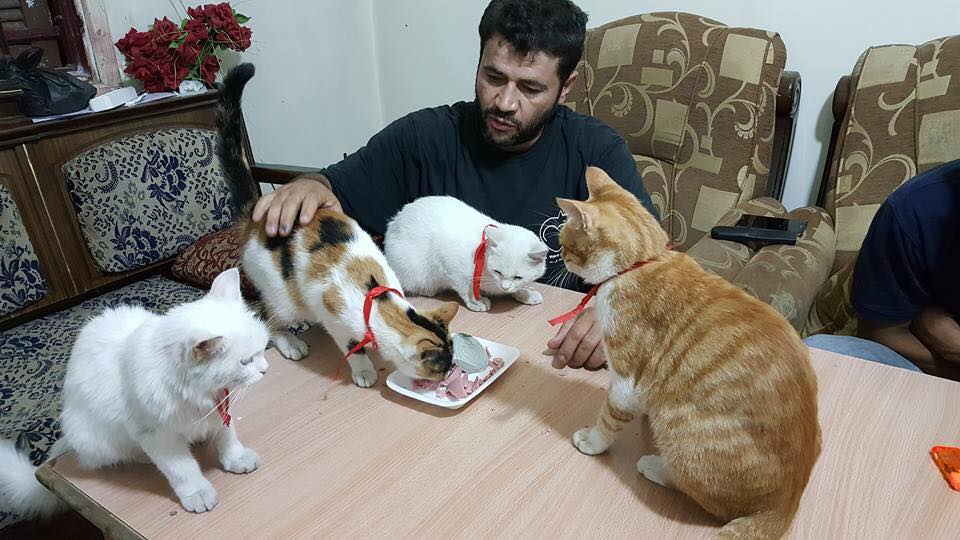 This Syrian Man Refuses To Leave His City of Aleppo To Care For Hundreds Of Abandoned Cats