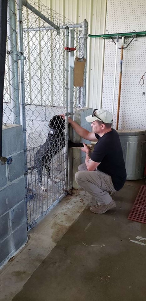 When the dog extended his paw to people passing by asking for help, a miracle took place.